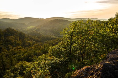 the beautiful german forest of thuringia