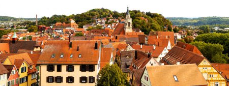 the historic city of tuebingen germany from above panorama