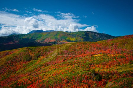 Foto de Colores de otoño en las montañas Wasatch en la autopista Timpanagos Utah. - Imagen libre de derechos