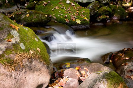 L'eau tombe des roches moussues dans ce ruisseau forestier paresseux du Tennessee. L'exposition est à une seconde, donnant à l'eau un aspect flou.
