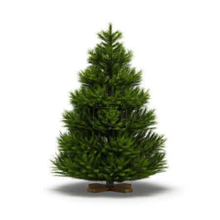 Photo for Christmas trees undecorated isolated on the white background - Royalty Free Image