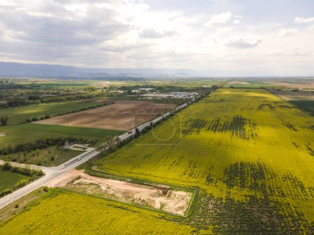Vue aérienne du champ de colza en fleurs près du village de Kostievo, région de Plovdiv, Bulgarie