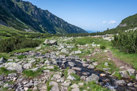 Amazing Summer landscape of Rila Mountain near Malyovitsa peak, Bulgaria