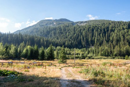 Paysage étonnant de la région de Tiha Rila (Rila calme), montagne Rila, Bulgarie