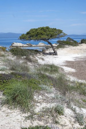 Toller Blick auf die Küste von Sithonia in der Nähe von Karydi Beach, Chalkidiki, Zentralmakedonien, Griechenland
