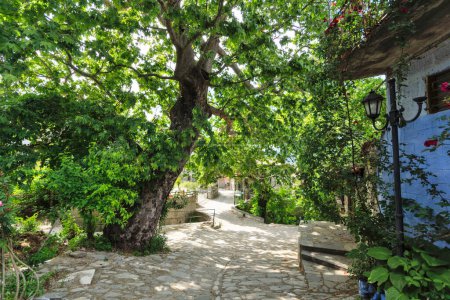 Das historische Dorf Ampelakia, Larissa, Thessalien, Griechenland