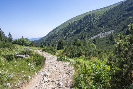Amazing Summer landscape of Rila Mountain near Malyovitsa peak, Bulgaria