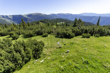 Erstaunliche Sommerlandschaft des Rila-Gebirges in der Nähe des Granchar-Sees, Bulgarien