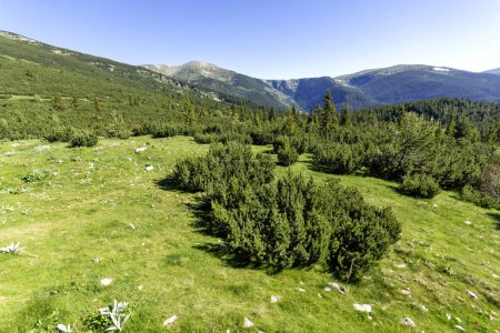 Foto de Increíble paisaje de verano de la montaña de Rila cerca del lago Granchar, Bulgaria - Imagen libre de derechos