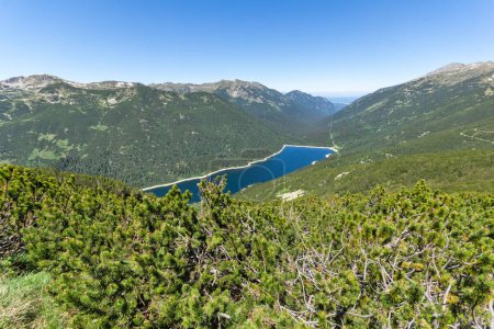 Foto de Increíble paisaje de verano de la montaña de Rila cerca del lago Granchar, Bulgaria - Imagen libre de derechos