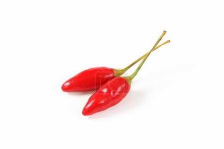 Photo for Two small red chili peppers on white background - Royalty Free Image