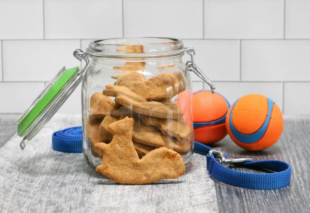 Photo for Squirrel shaped dog cookies in a glass jar.  Dog leash and toy balls on the side. - Royalty Free Image