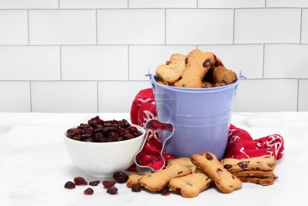 A pail of cranberry dog cookies surrounded with cranberries in a bowl and cookies.