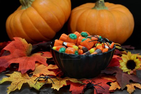 Foto de Dulces de Halloween maíz y calabazas en un tazón negro con calabazas, hojas y arañas. Macr. - Imagen libre de derechos