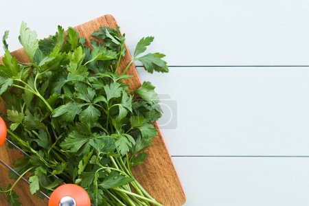 Photo for Bundle of fresh flat leaf parsley on wooden chopping board with mezzaluna herb knife on the side, photographed overhead with copy space on the side (Selective Focus, Focus on leaves on top) - Royalty Free Image
