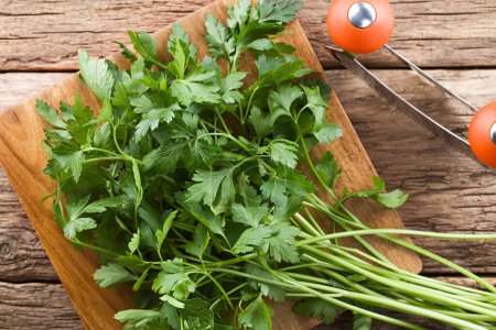 Photo for Bundle of fresh flat leaf parsley on wooden chopping board with mezzaluna herb knife on the side, photographed overhead (Selective Focus, Focus on the leaves on top) - Royalty Free Image