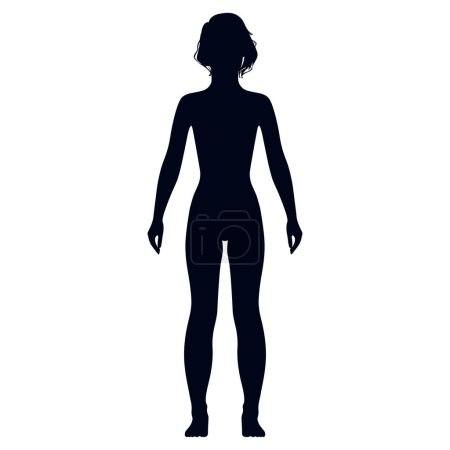 Ilustración de Vista completa de un corte de pelo delgado de pie silueta chica desnuda, aislado sobre fondo blanco. Ilustración vectorial - Imagen libre de derechos