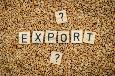 Foto de Exportar grano, concepto de trigo. La palabra Exportación y un signo de interrogación sobre un fondo de grano. - Imagen libre de derechos