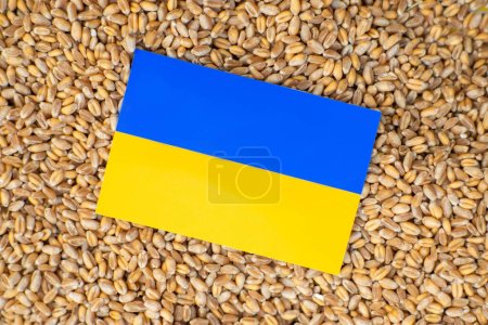 Ukrainisches Getreideexportkonzept. Eine Tasse mit Körnern und der Flagge der Ukraine auf grünem Hintergrund.