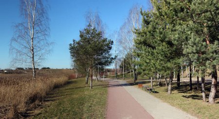 Téléchargez les photos : Pistes cyclables et sentiers pédestres dans un parc au bord du lac - en image libre de droit
