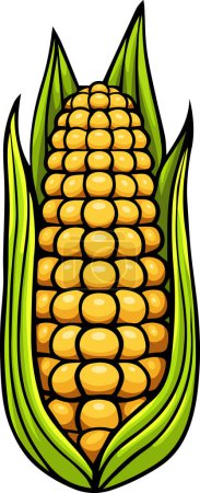Illustration for Illustration of Sweet organic corn on white background - Royalty Free Image