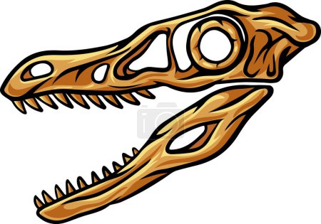 Téléchargez les illustrations : Velociraptor dinosaur skull fossil illustration - en licence libre de droit