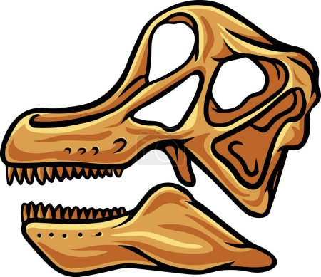 Téléchargez les illustrations : Brachiosaurus dinosaur skull fossil illustration - en licence libre de droit