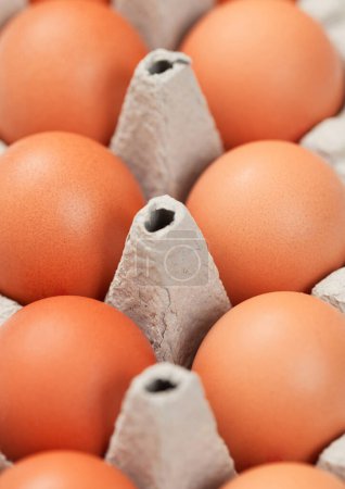 Foto de Huevos orgánicos marrones macro en bandeja de papel blanco. - Imagen libre de derechos