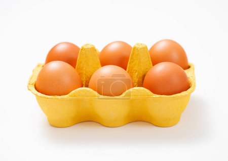 Photo for Brown raw organic eggs in yellow paper tray on white. - Royalty Free Image