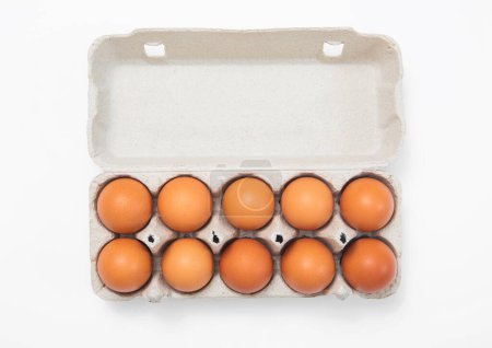 Photo for Brown raw fresh eggs in paper tray on white background.Top view - Royalty Free Image