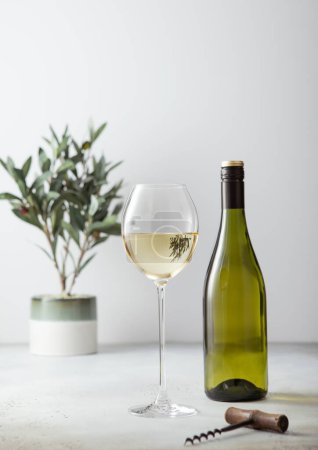 Téléchargez les photos : Bouteille et verre de vin blanc et tire-bouchon sur fond clair. - en image libre de droit