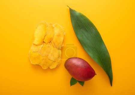 Photo for Sweet dried large mango slices on yellow background with raw fruit and leaf.Top view. - Royalty Free Image