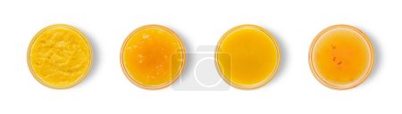 Photo for Glass bowl with mango sweet and chilli sauce,jam,smoothie and mashed mango on white background.Top view. - Royalty Free Image