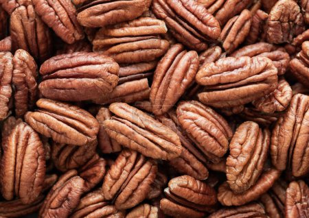 Photo for Raw peeled brown pecan nuts top view macro background. - Royalty Free Image