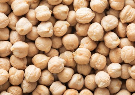 Photo for Organic dry raw chickpea grain seeds textured background. - Royalty Free Image