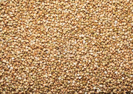 Foto de Grano de trigo sarraceno orgánico crudo verde semillas texturizadas fondo. - Imagen libre de derechos