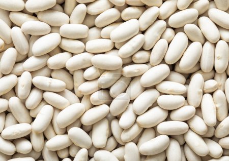 Photo for White healthy dry raw white bean seeds textured background. - Royalty Free Image