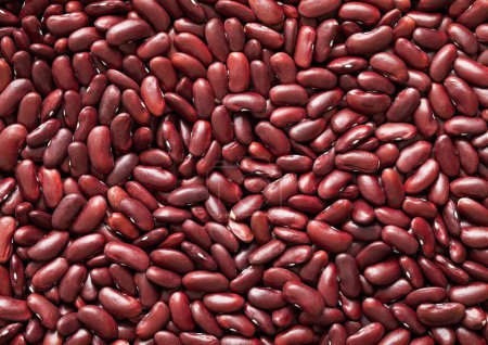 Red organic healthy dry raw white bean seeds textured background.