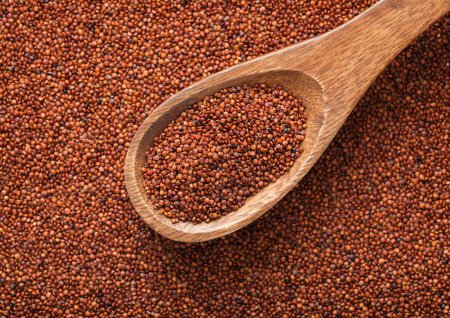 Photo for Wooden spoon of brown organic healthy bolivian quinoa balanda grain seed. - Royalty Free Image
