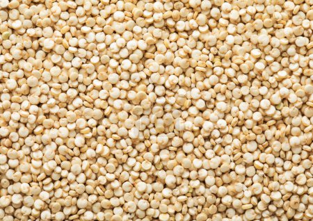 Photo for White healthy bolivian quinoa balanda grain seed textured background. - Royalty Free Image