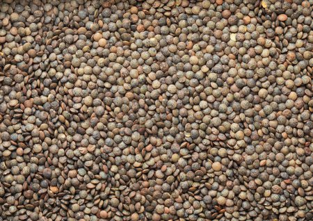Photo for Green raw healthy lentils grain seeds textured background. - Royalty Free Image