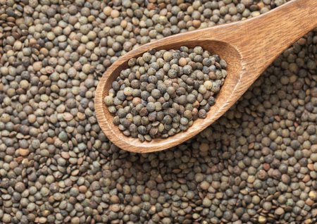 Photo for Green raw healthy organic lentils grain seeds on wooden spoon in kitchen. - Royalty Free Image