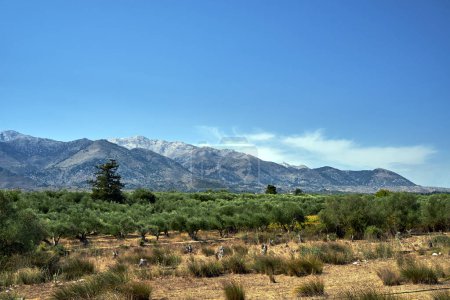 A valley and rocky peaks in the Lefka Ori mountains on the island of Crete, Greece
