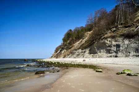 Baltic sea coast with sandy beach and cliff overgrown with trees on Wolin island, Poland