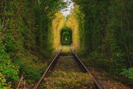 Foto de Romántico túnel ferroviario en los árboles. Túnel de ferrocarril en Ucrania. Famoso destino de sesión de fotos - Imagen libre de derechos