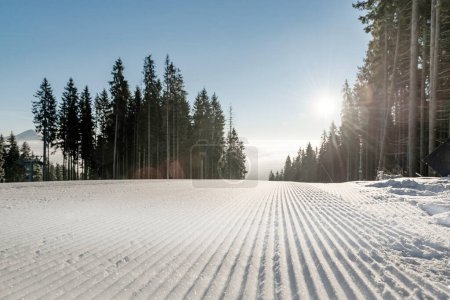 Téléchargez les photos : Neige de velours frais à la station de ski. Focus sélectif sur la neige - en image libre de droit