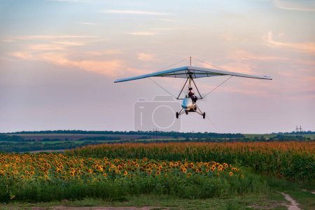 Téléchargez les photos : Deltaplane motorisé blanc vole bas au-dessus du champ de tournesol au coucher du soleil en Ukraine - en image libre de droit