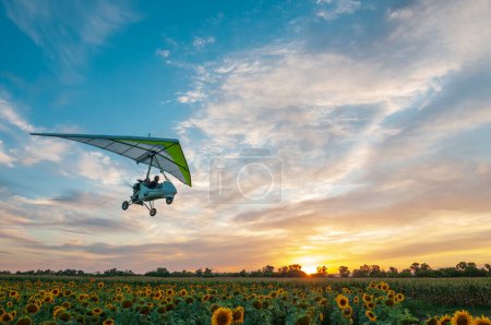 Téléchargez les photos : Deltaplane motorisé trike plane vole bas au-dessus du beau champ de tournesol au coucher du soleil - en image libre de droit