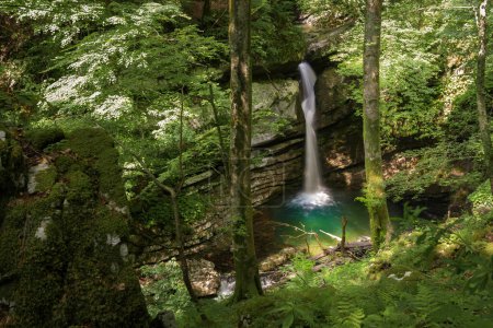 Téléchargez les photos : Cascade pittoresque cachée profondément dans la forêt. Nature incroyable de Soca valeey, Slovénie. - en image libre de droit