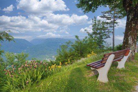 Téléchargez les photos : Banc en bois avec vue sur la montagne. Paysage de la vallée de Soca, Slovénie, destination touristique estivale populaire en Europe. - en image libre de droit